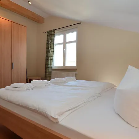 Seerose - 20 Seestern