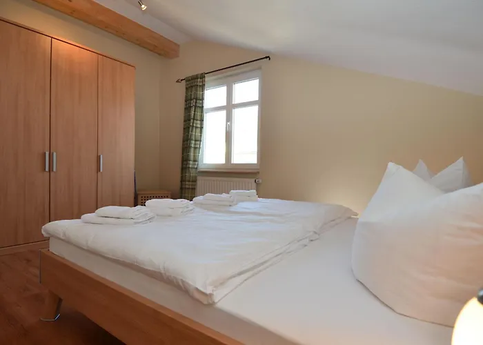 Seerose - 20 Seestern